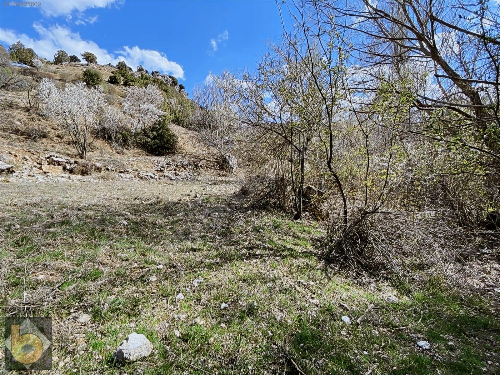İlan Fotoğrafı