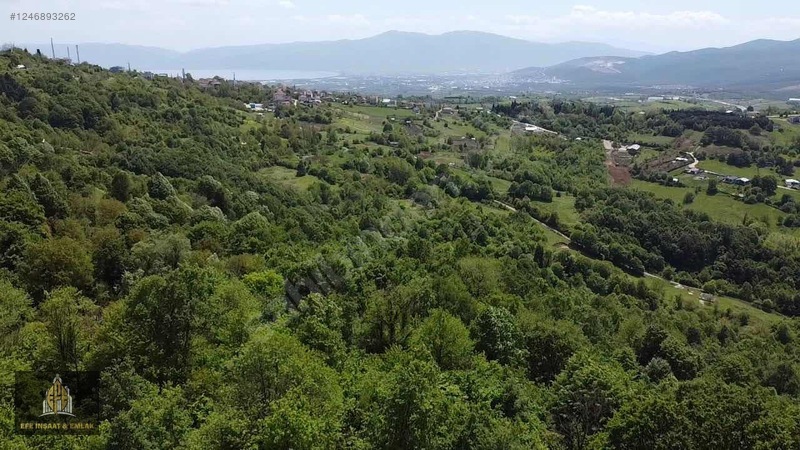 YALOVA SUGÖREN'DE DOĞAYLA İÇ İÇE SATILIK TARLA