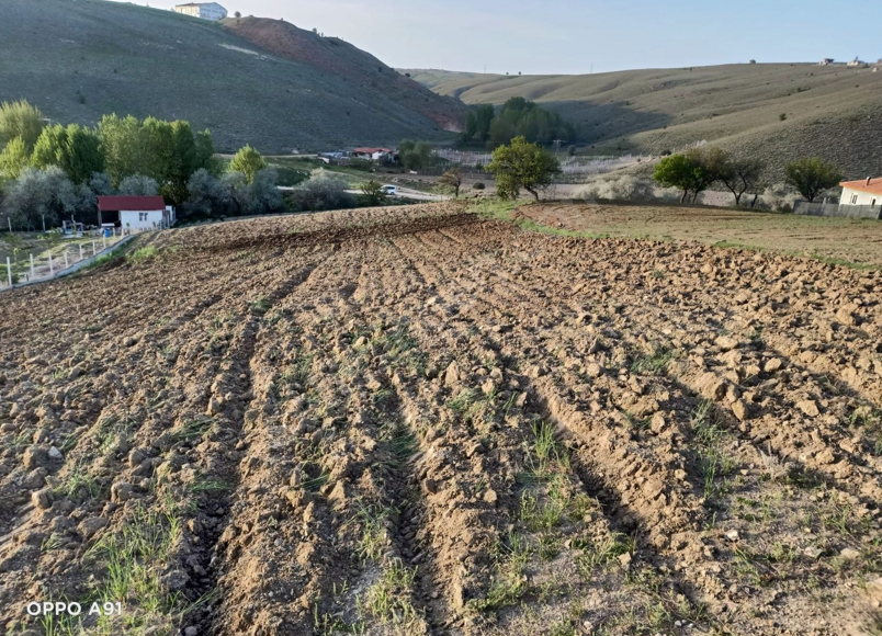 Fotoğraf