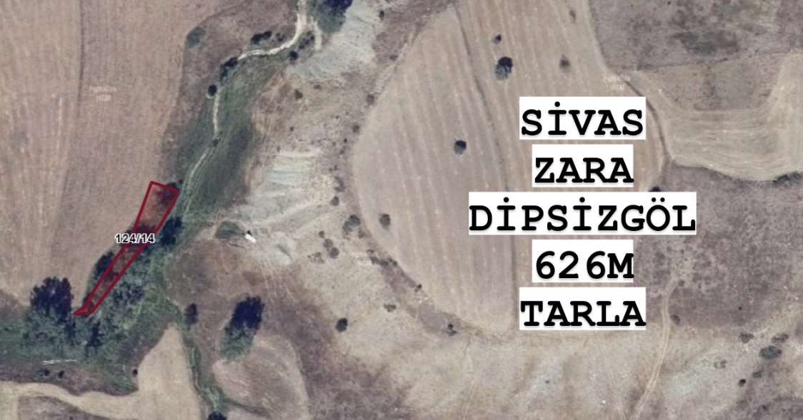 Fotoğraf