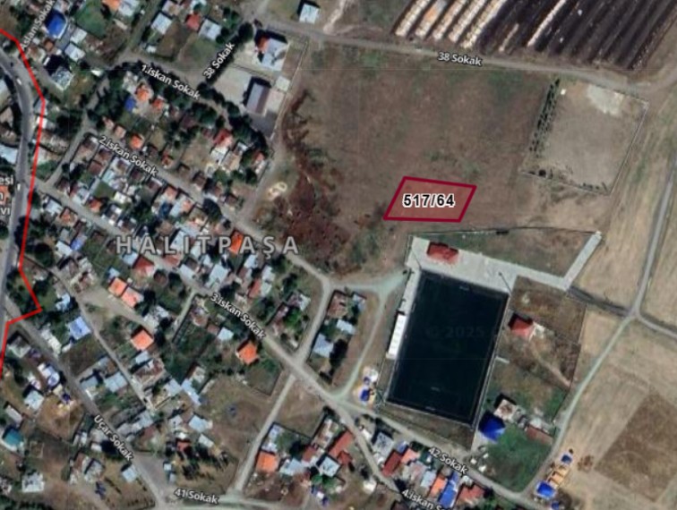 Fotoğraf