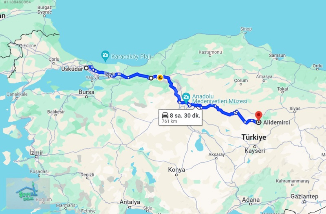 Fotoğraf