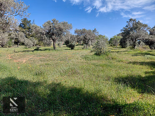 İlan Fotoğrafı