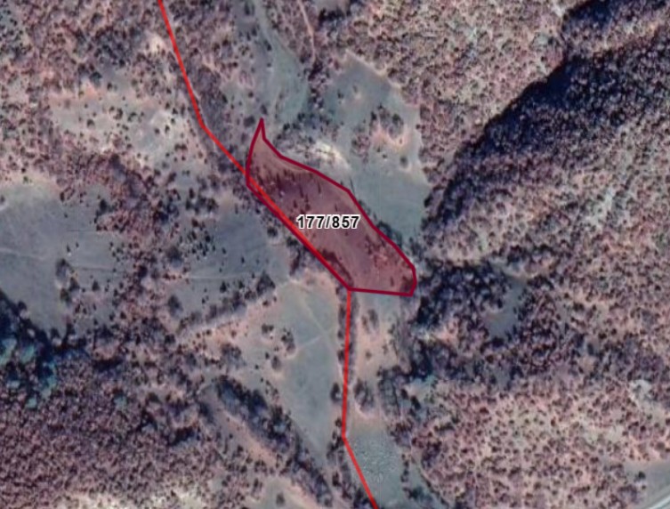 Fotoğraf