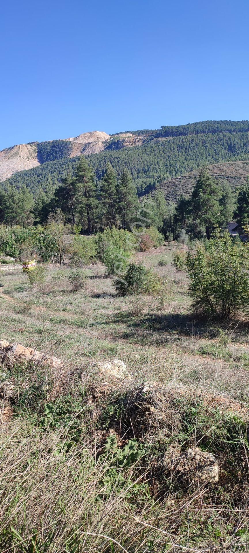 İlan Fotoğrafı