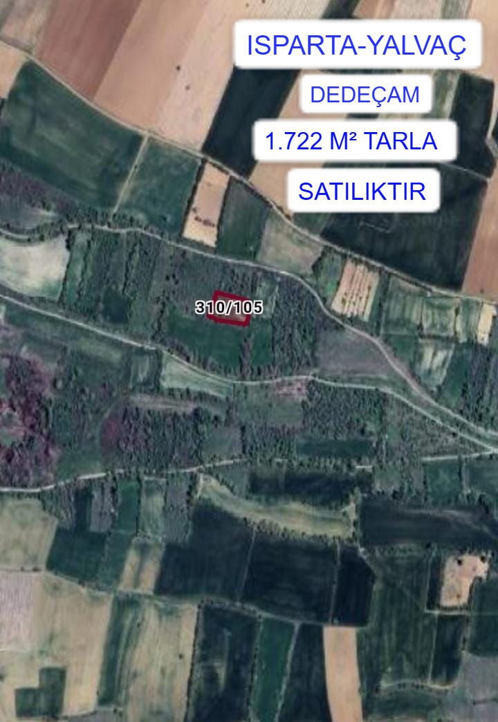 Fotoğraf