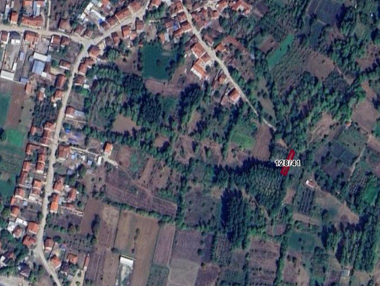 Fotoğraf