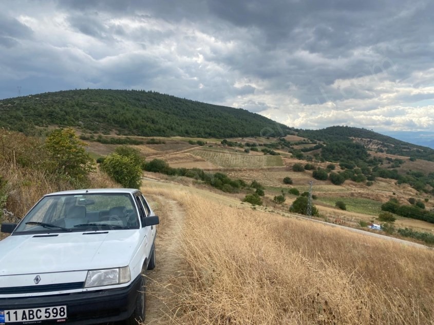 Fotoğraf