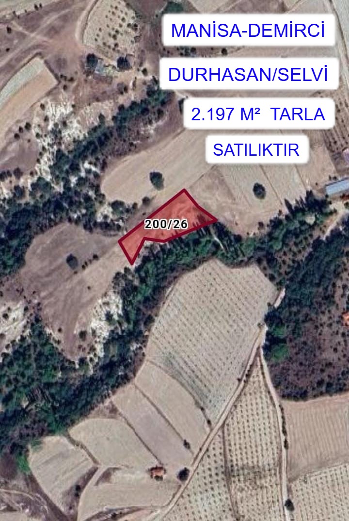 Fotoğraf
