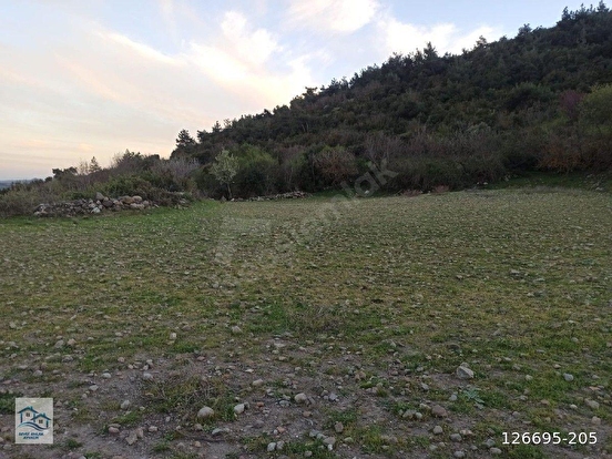 İlan Fotoğrafı