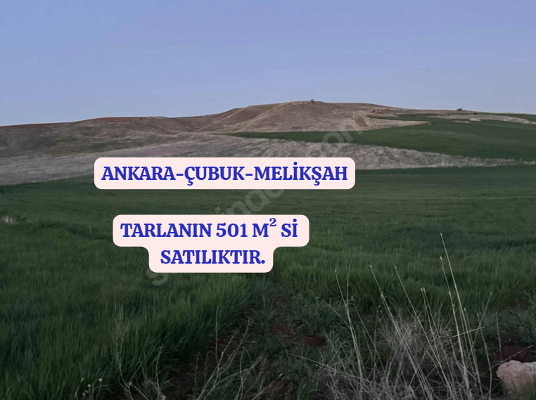 İlan Fotoğrafı