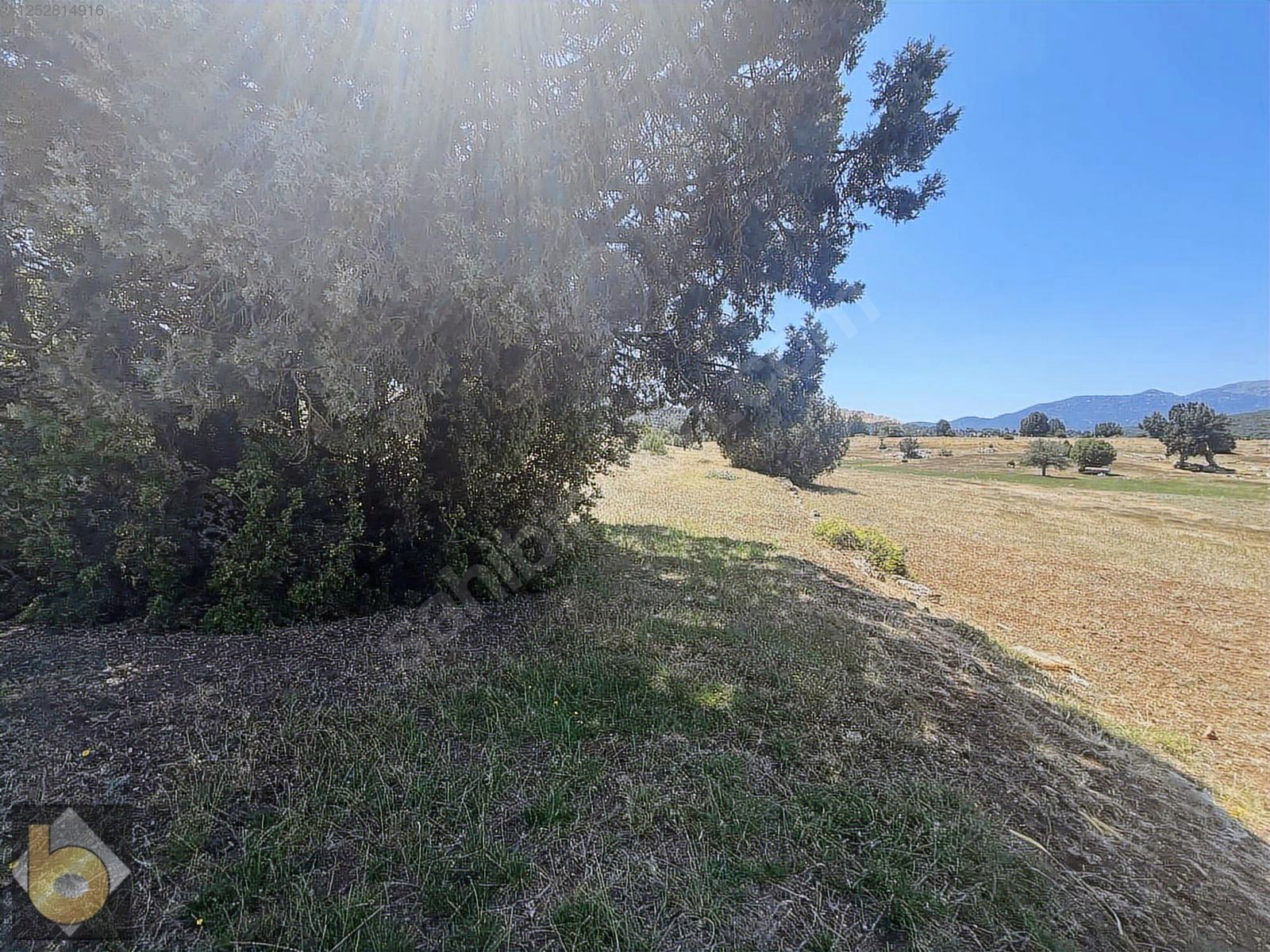İlan Fotoğrafı
