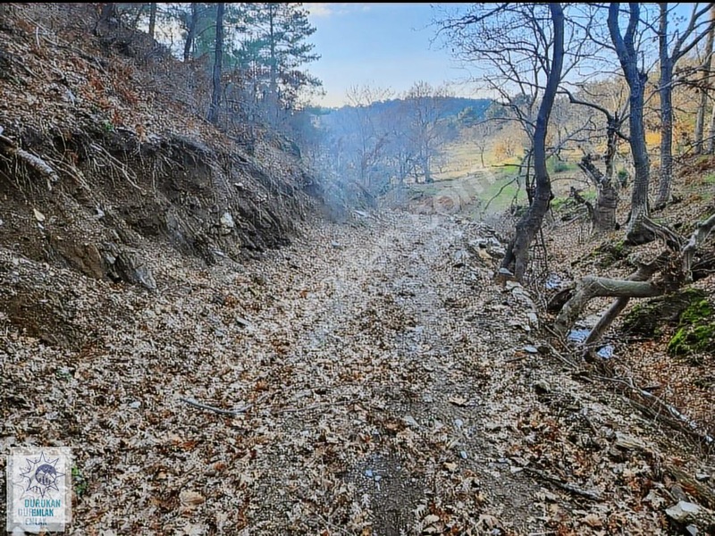 İlan Fotoğrafı