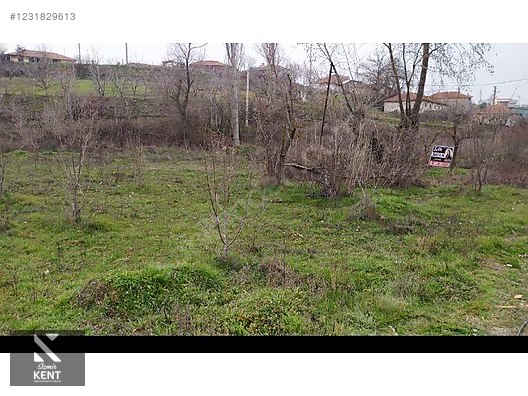 Fotoğraf