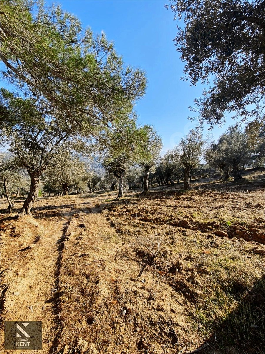 İlan Fotoğrafı