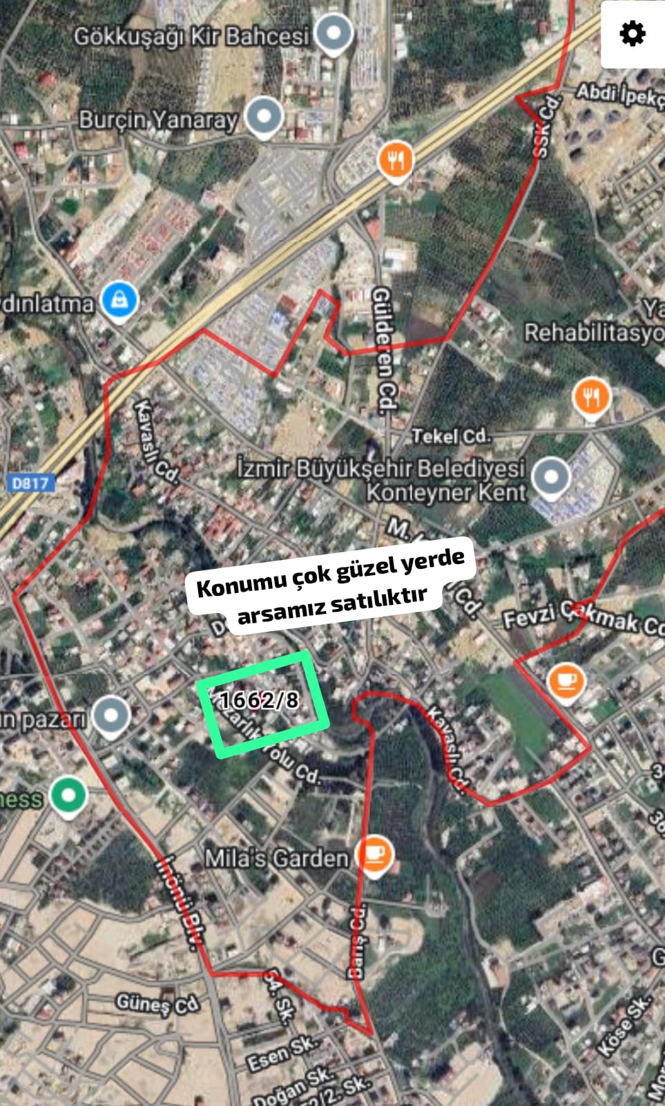 Fotoğraf