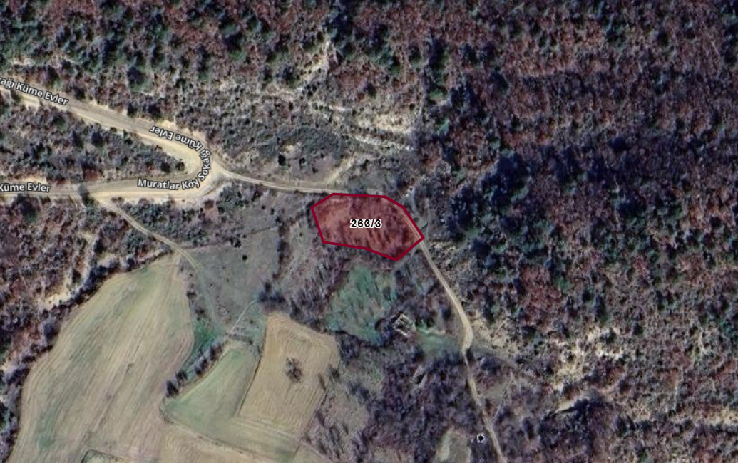 BİLECİK GÖLPAZARI KAVAK  KÖYÜNDE 1.277 M²  TARLA  SATILIKTIR