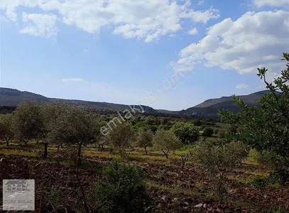 Konum Emlaktan Yunusemre İlçesi Sarma Mahallesinde Satılık Tarla