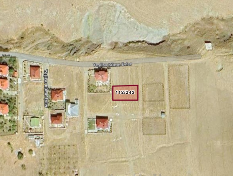Fotoğraf