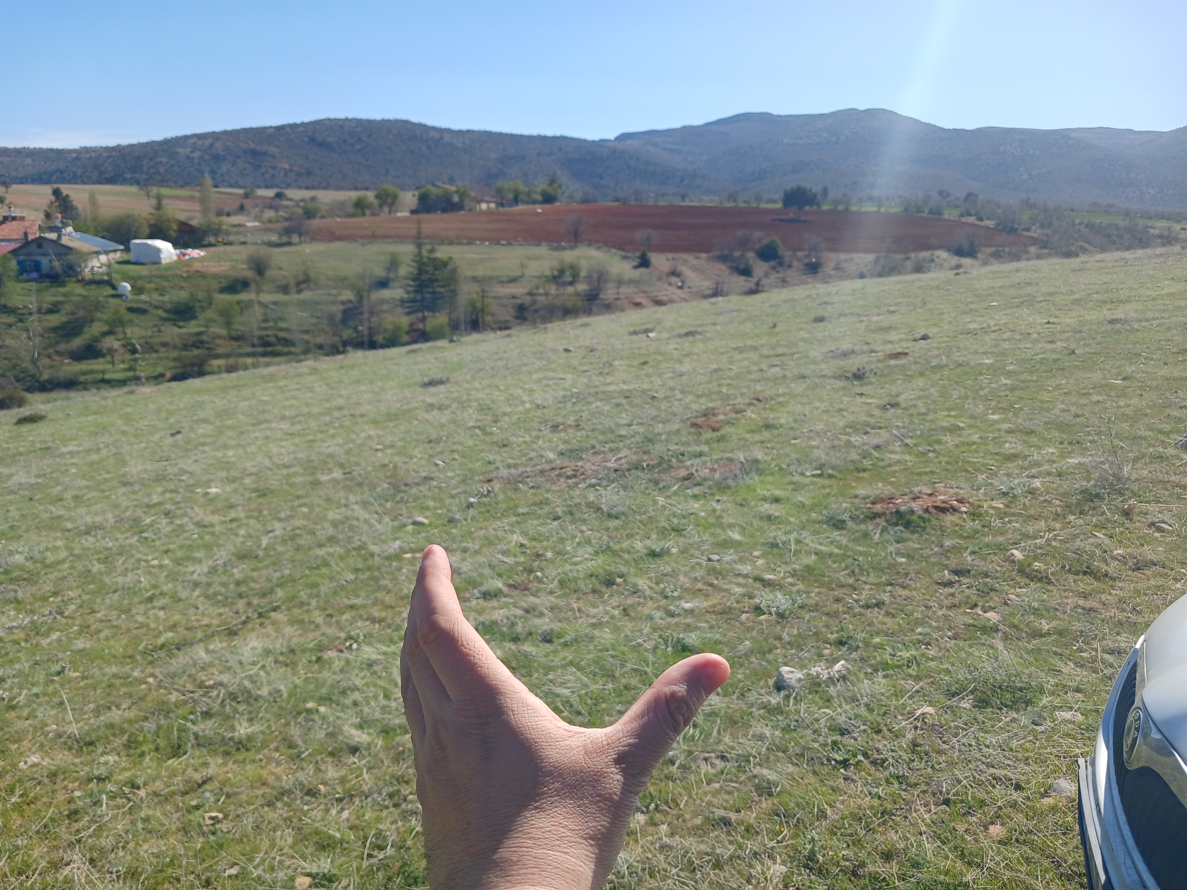 Fotoğraf