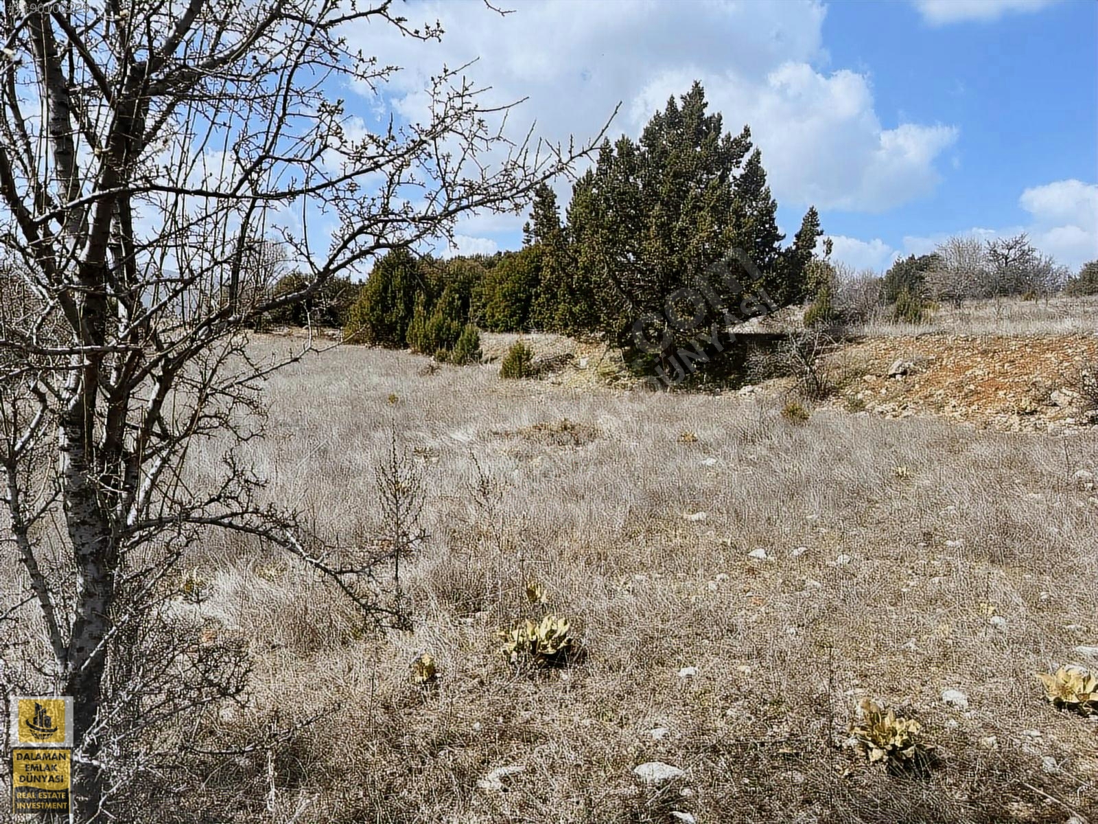 İlan Fotoğrafı