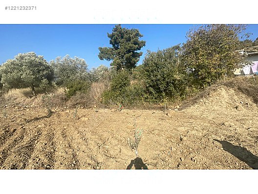 Fotoğraf