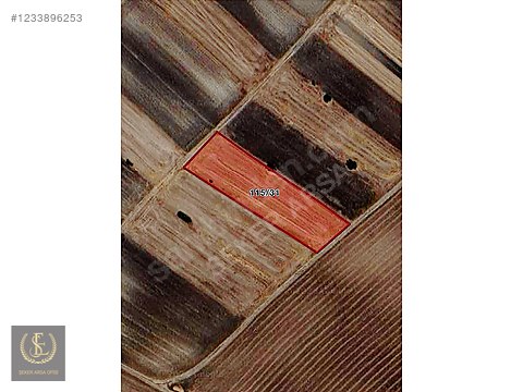 Tekirdağ saray demirler mahallesi