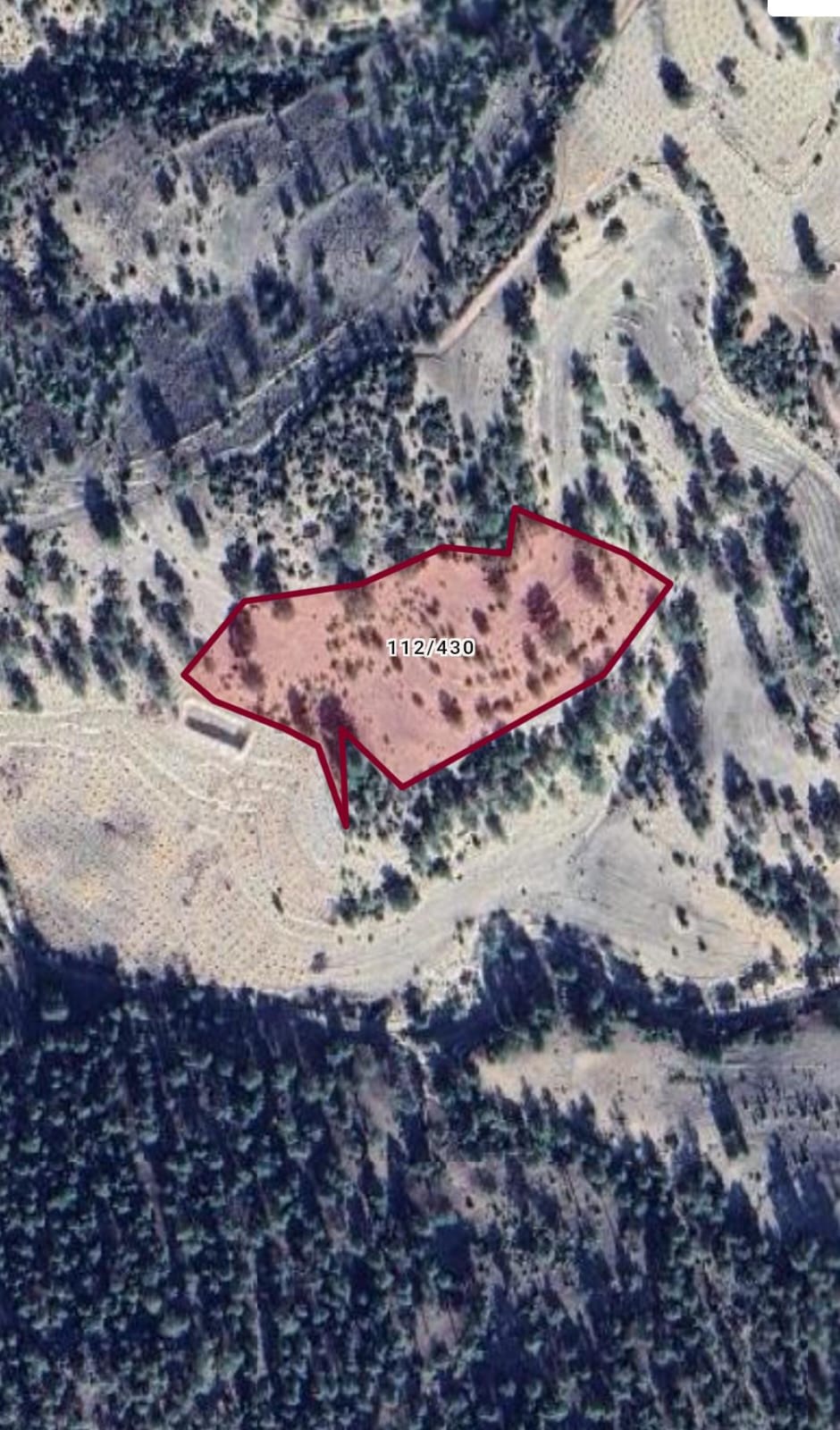 Fotoğraf