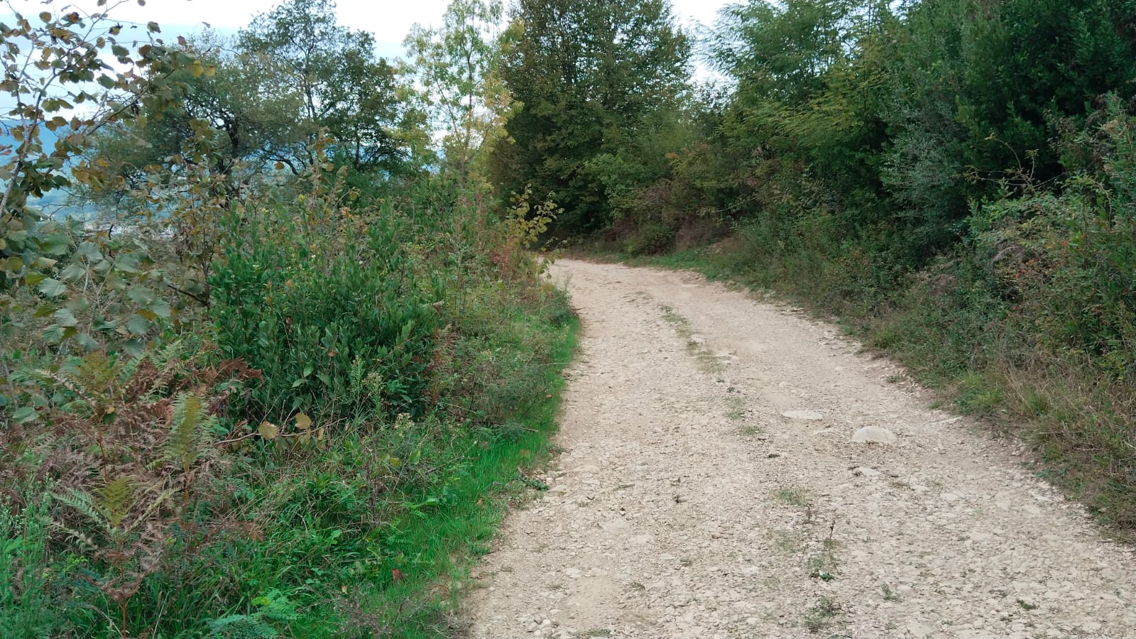 Fotoğraf