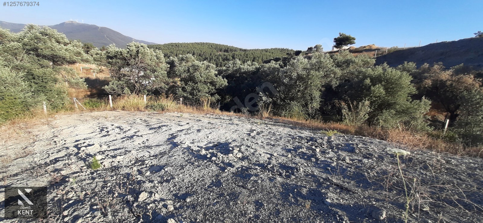 Fotoğraf