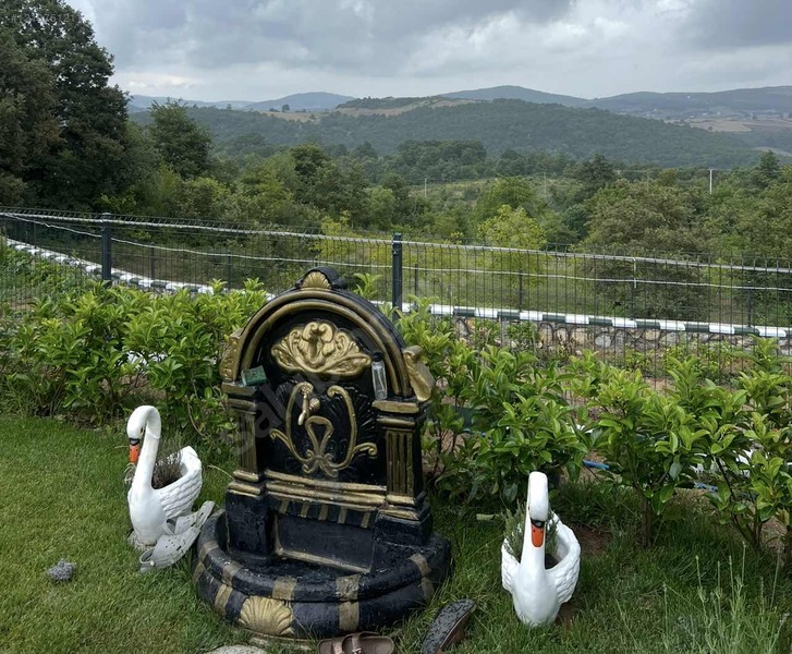 Fotoğraf