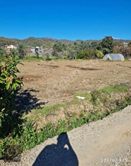 İlan Fotoğrafı