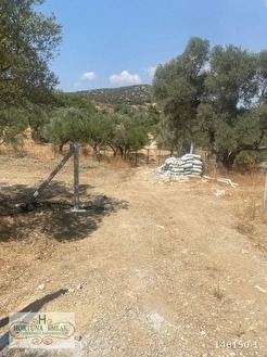 Hortuna emlaktan torbalı çapak mahallesinde satılık tarla