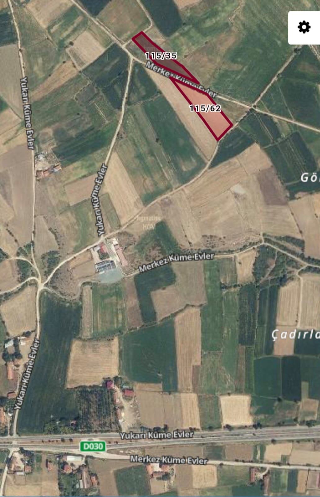 Fotoğraf