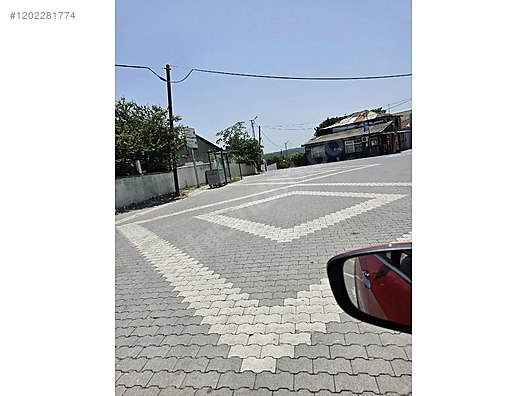 Fotoğraf
