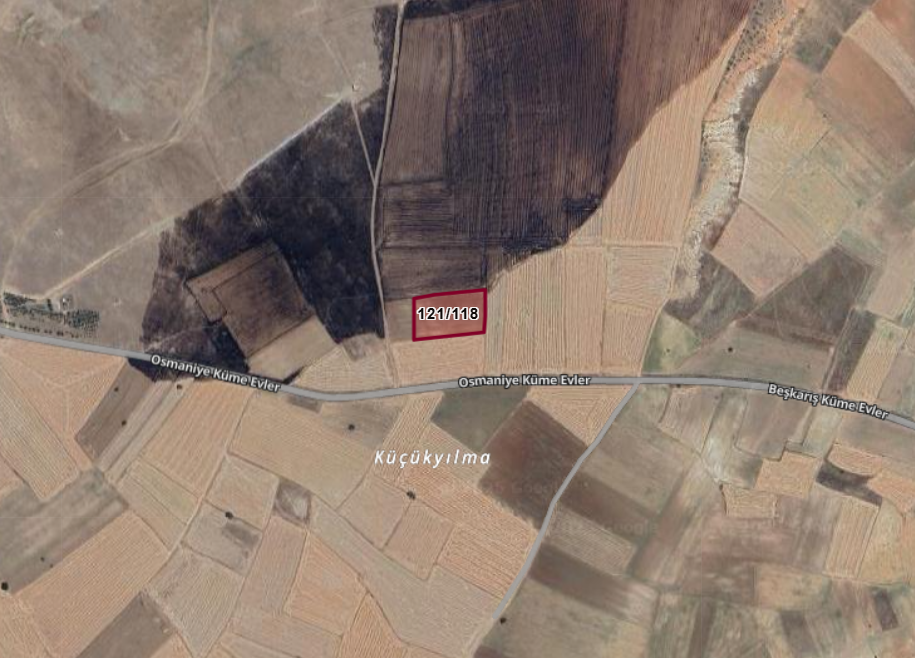 Fotoğraf