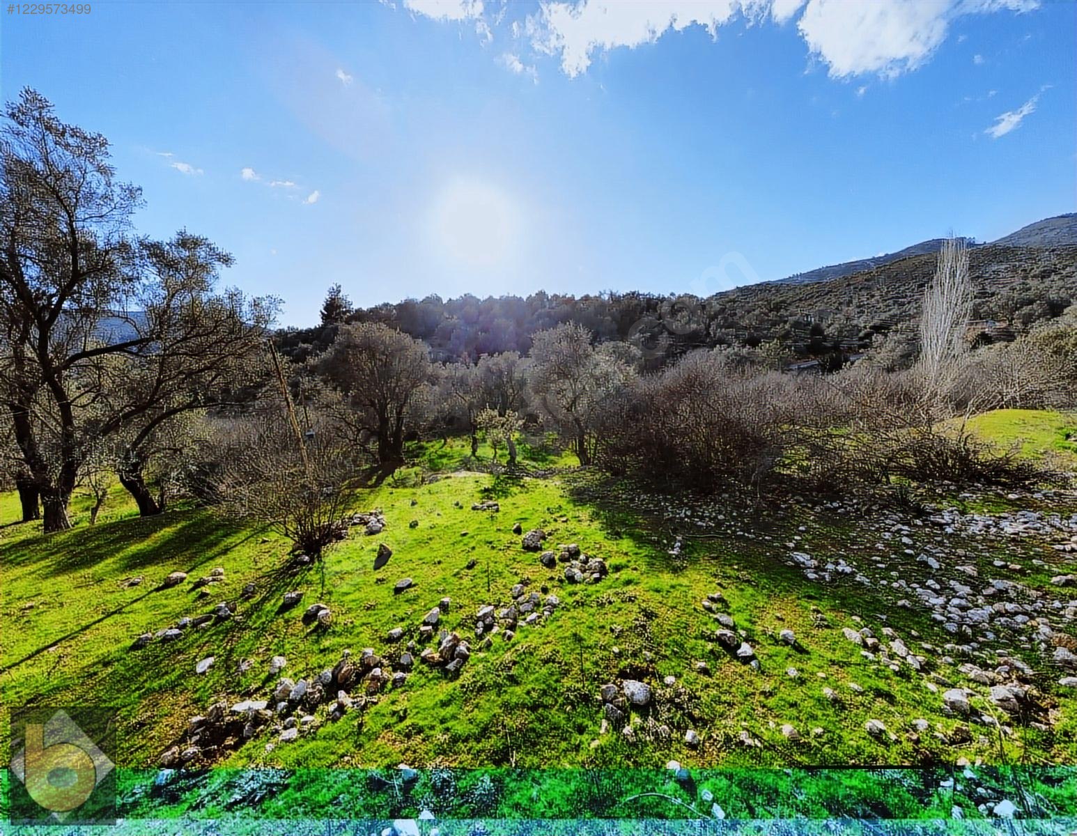 İlan Fotoğrafı
