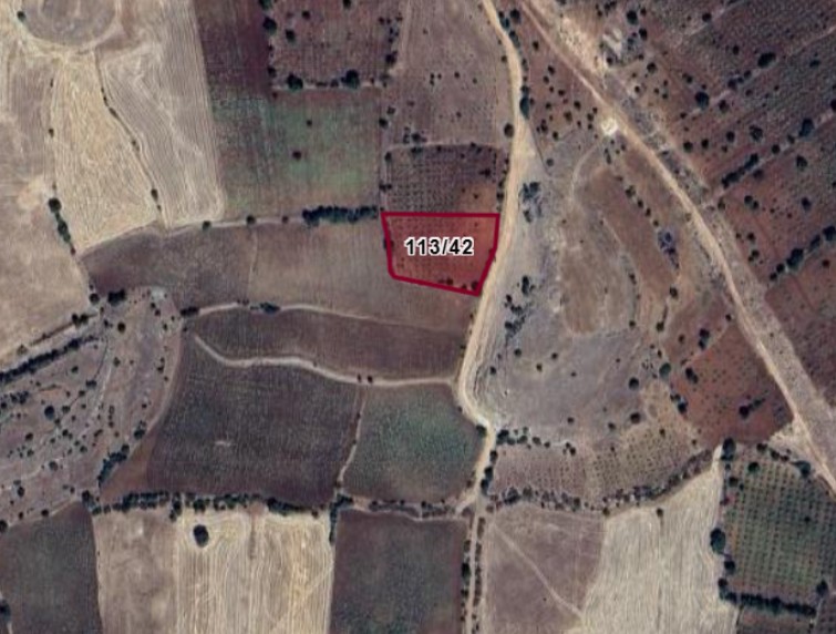 Fotoğraf