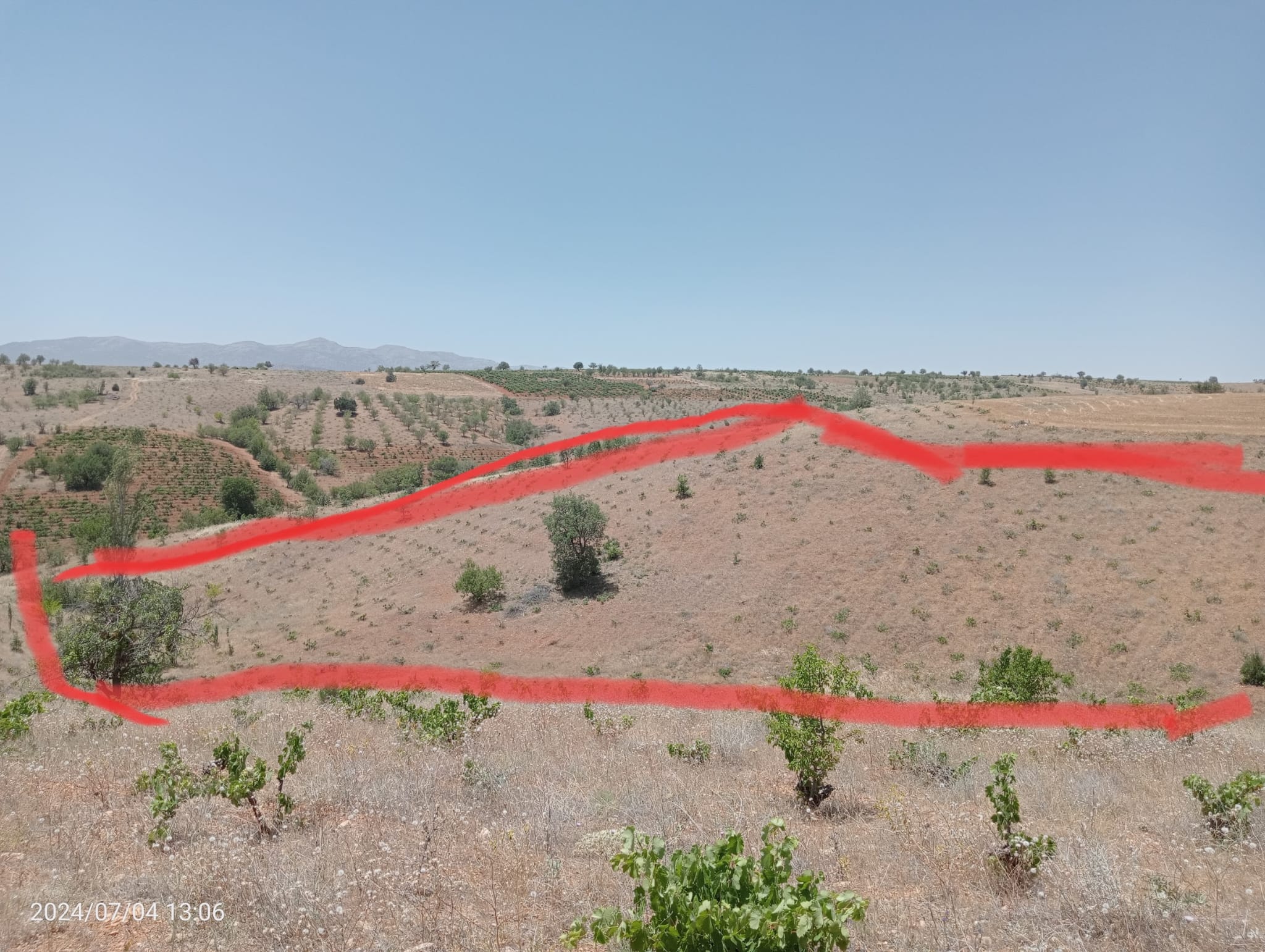 KARAMAN MERKEZ MURATDEDE KÖYÜNDE 5.746 M²  ÜZÜM BAĞI SATILIKTIR