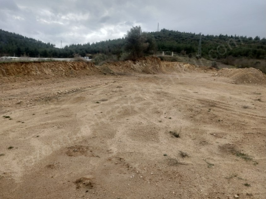 Fotoğraf