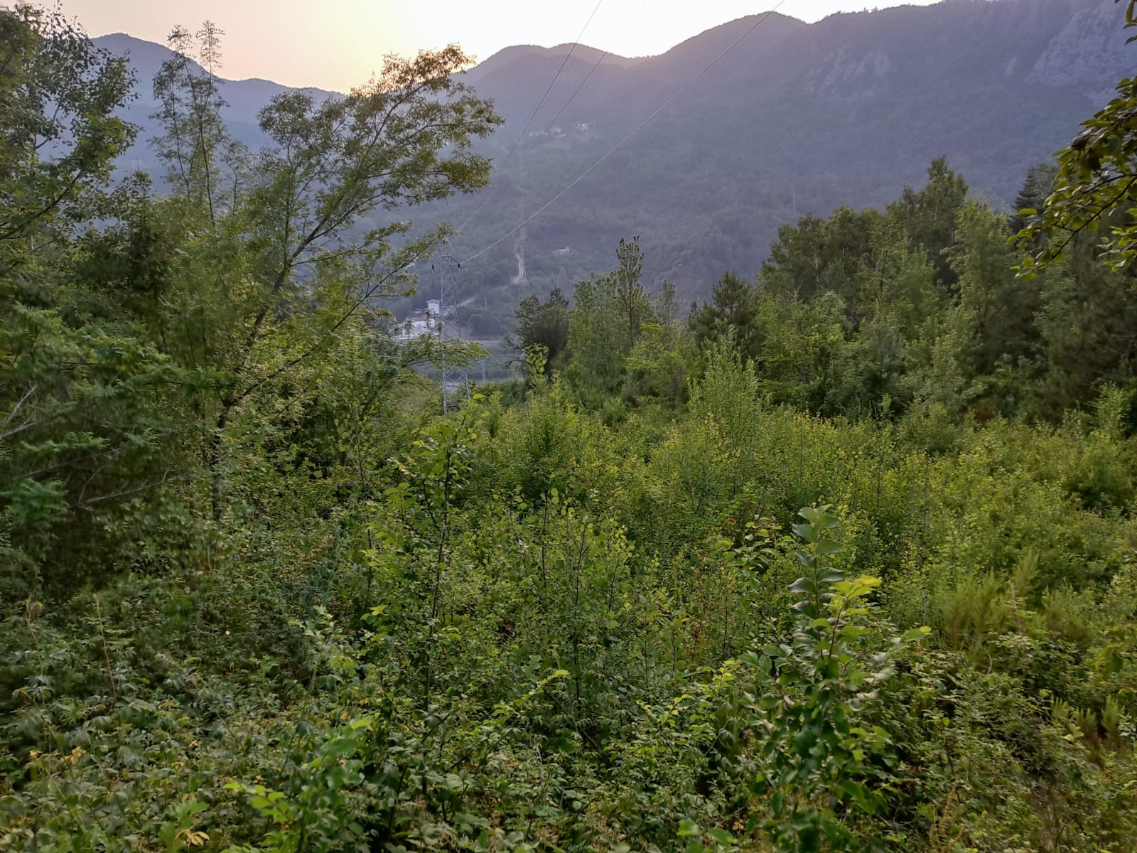 Fotoğraf