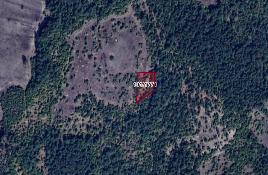 KÜTAHYA DOMANİÇ SARIOT  KÖYÜNDE 2.300 M² TARLA SATILIKTIR