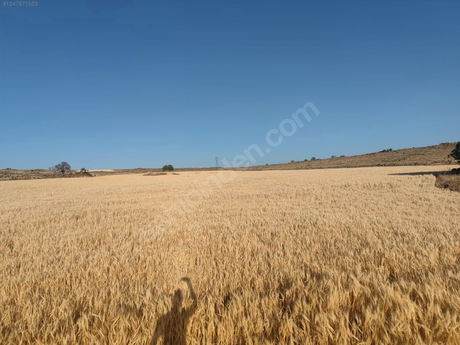 İlan Fotoğrafı