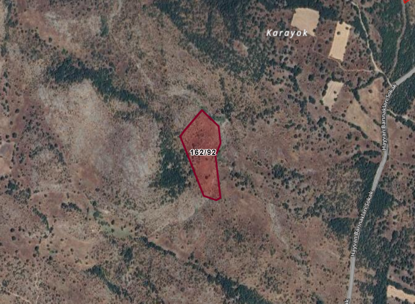 BALIKESİR DURSUNBEY YUKARIMUSALAR  KÖYÜNDE  19.465  M²  TARLA  SATILIKTIR