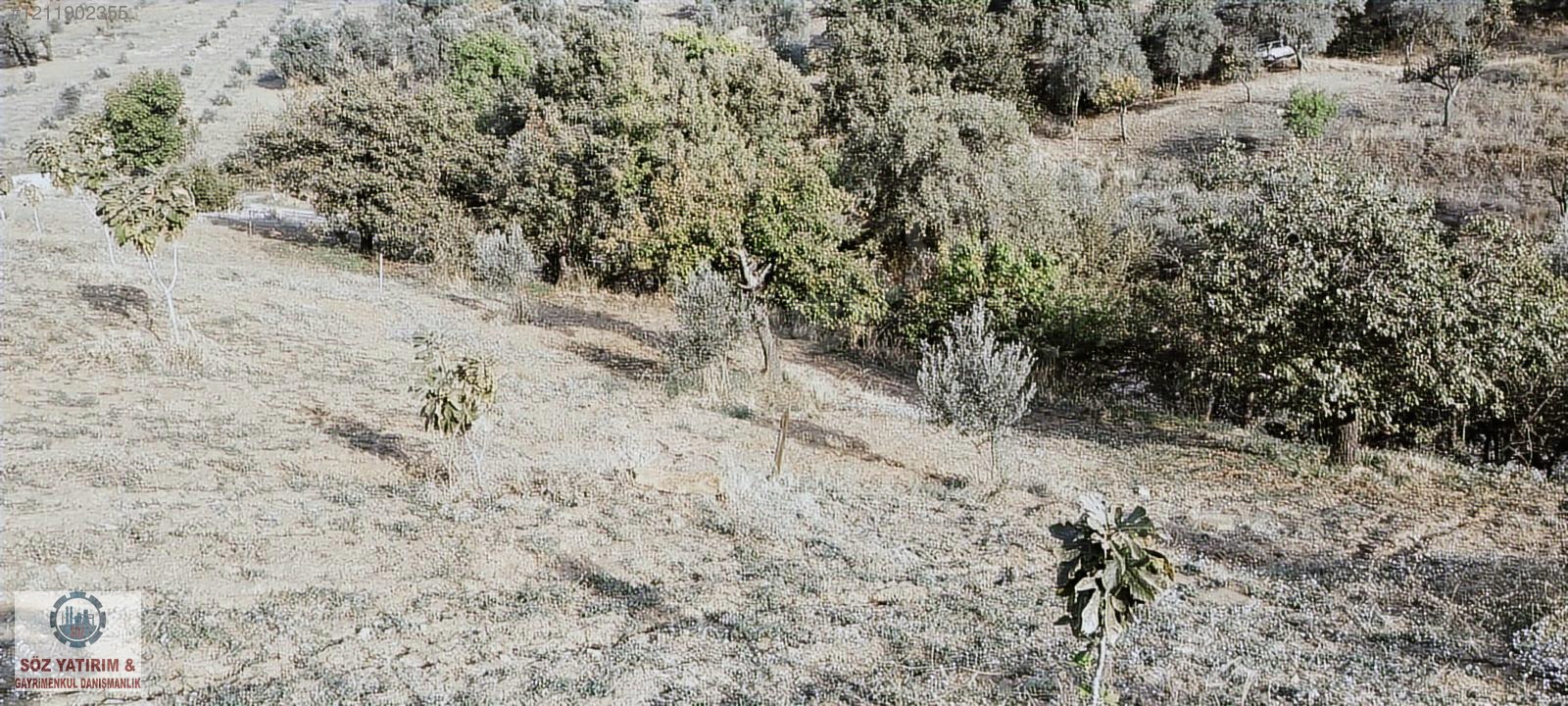 İlan Fotoğrafı