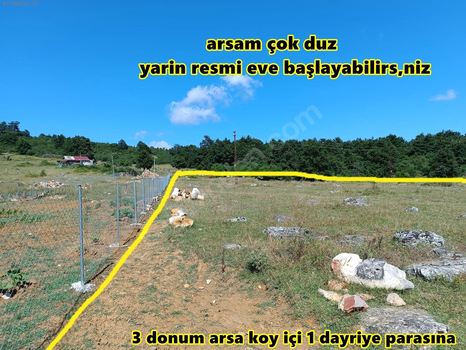 Fotoğraf
