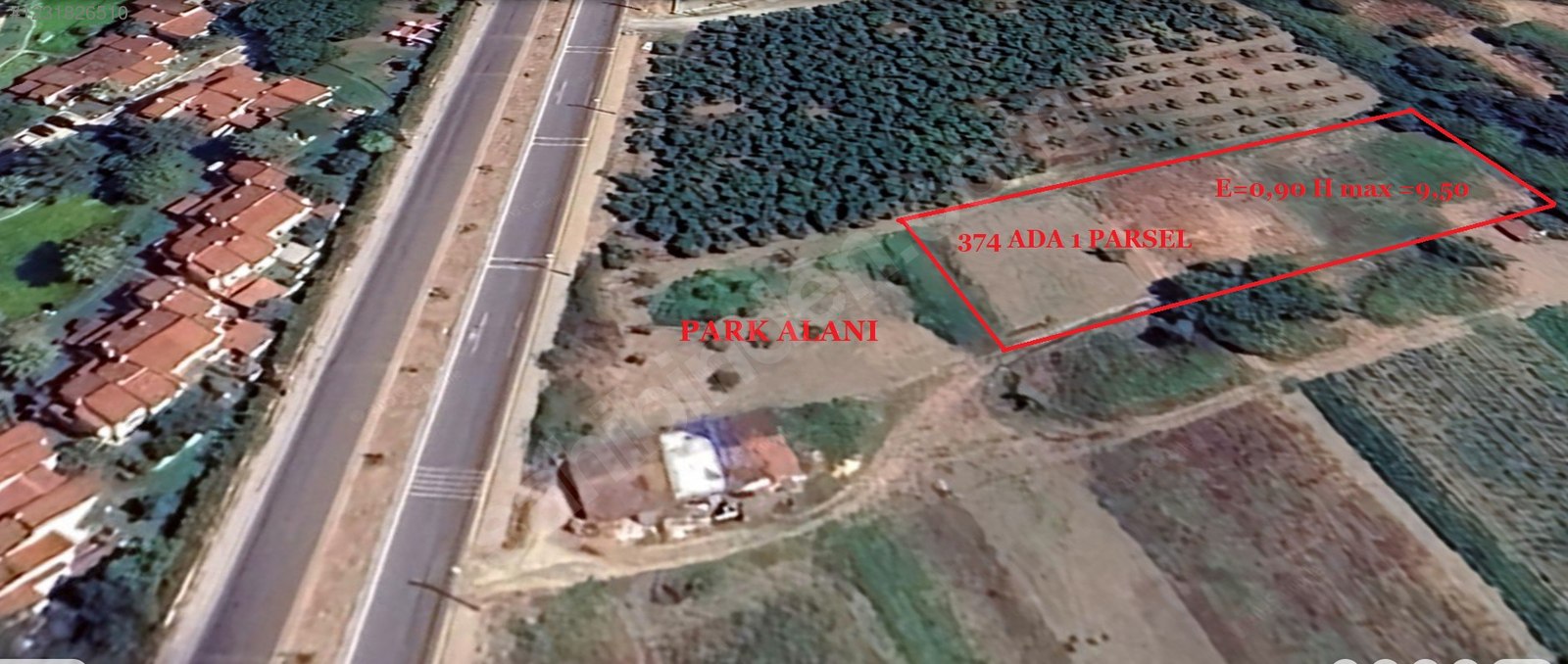 Fotoğraf