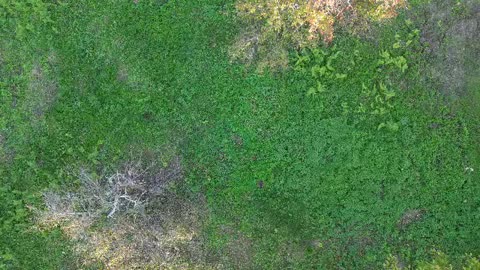 Geyve ilimbey köyünde 500 m2.inş.ruhsatlı müstakil satılık arsa.