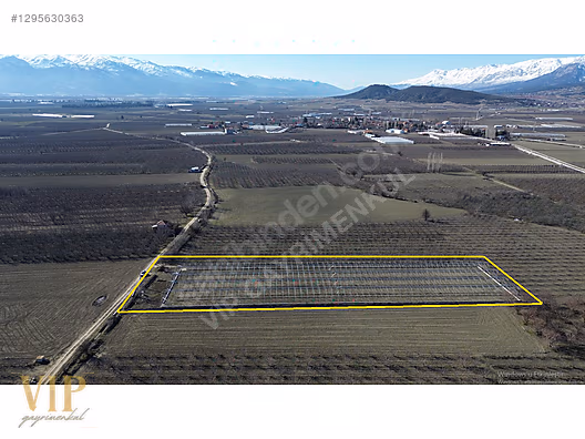 VİP GAYRİMENKUL'den PİRHASANLAR MAH. 6000m² PROJELİ SIFIR SERA