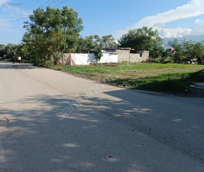 Fotoğraf